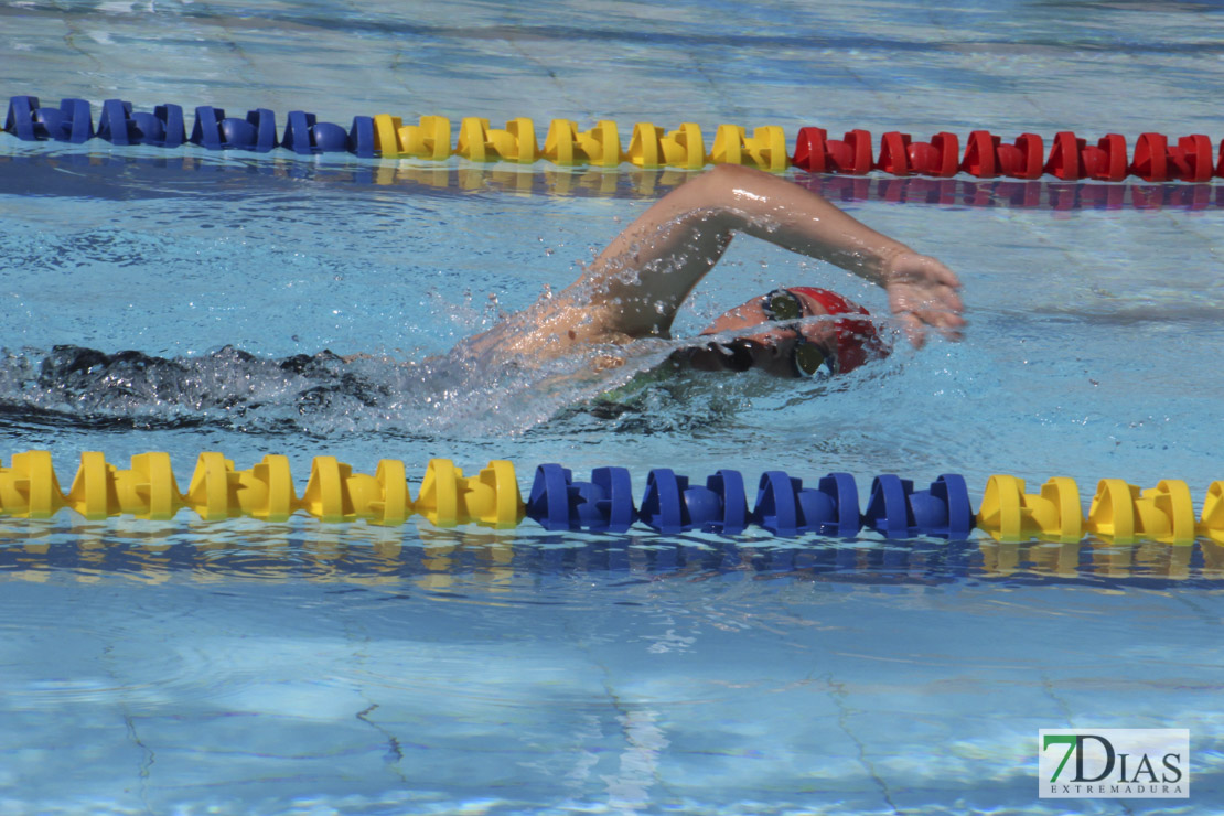 Imágenes de la última jornada del nacional master de natación