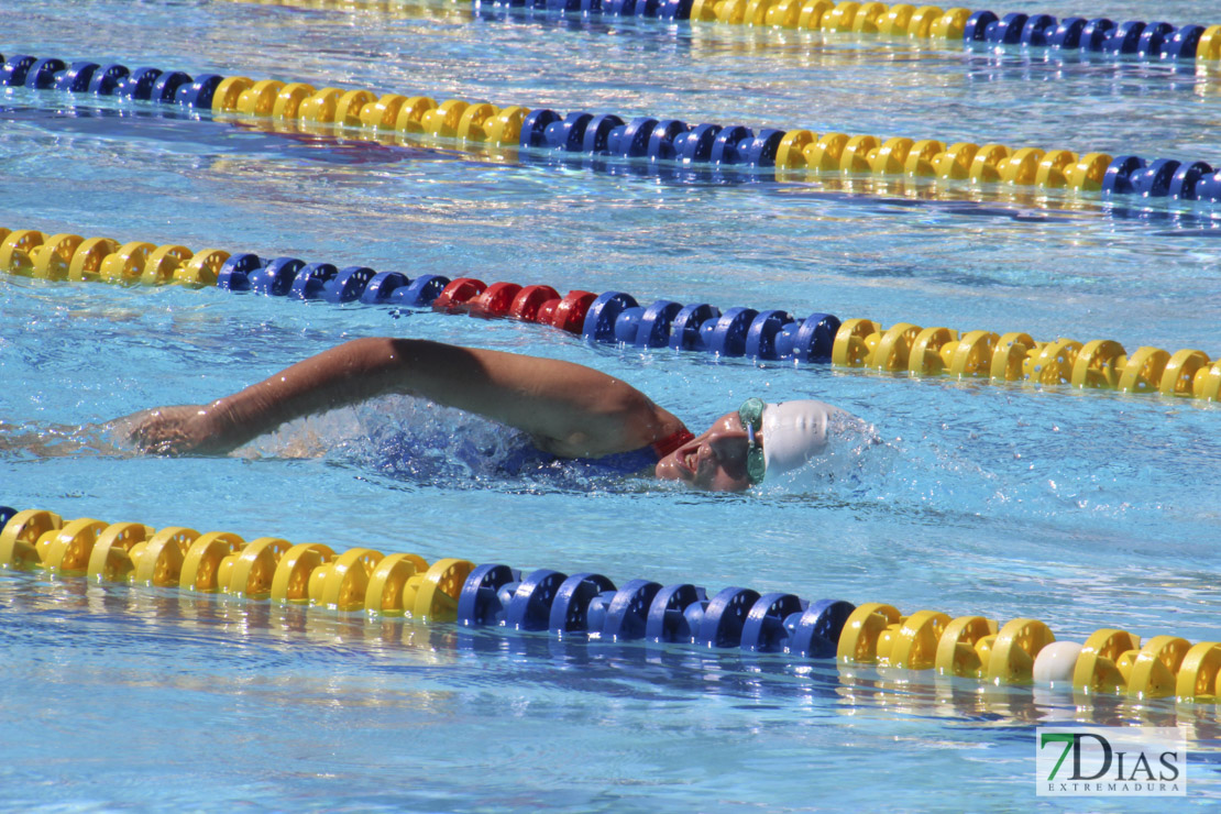 Imágenes de la última jornada del nacional master de natación