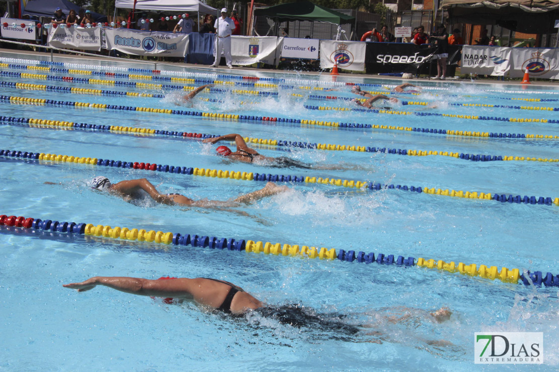 Imágenes de la última jornada del nacional master de natación