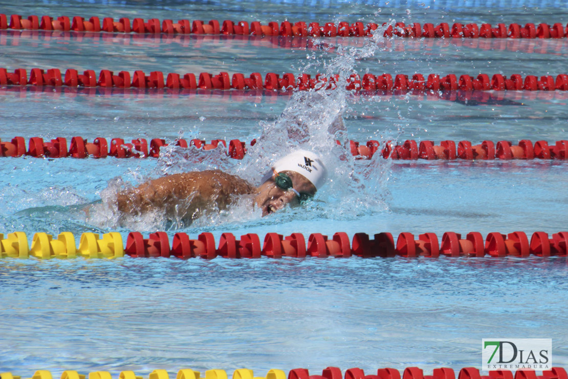 Imágenes de la última jornada del nacional master de natación