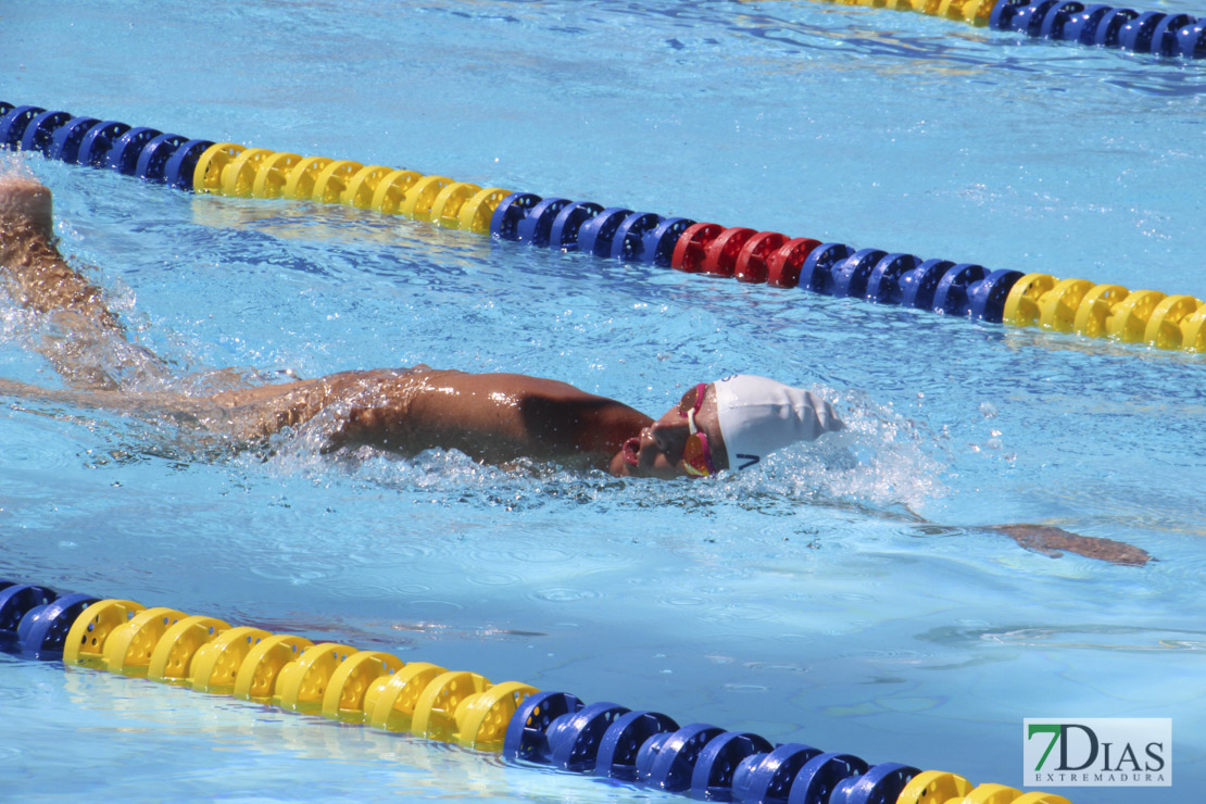 Imágenes de la última jornada del nacional master de natación