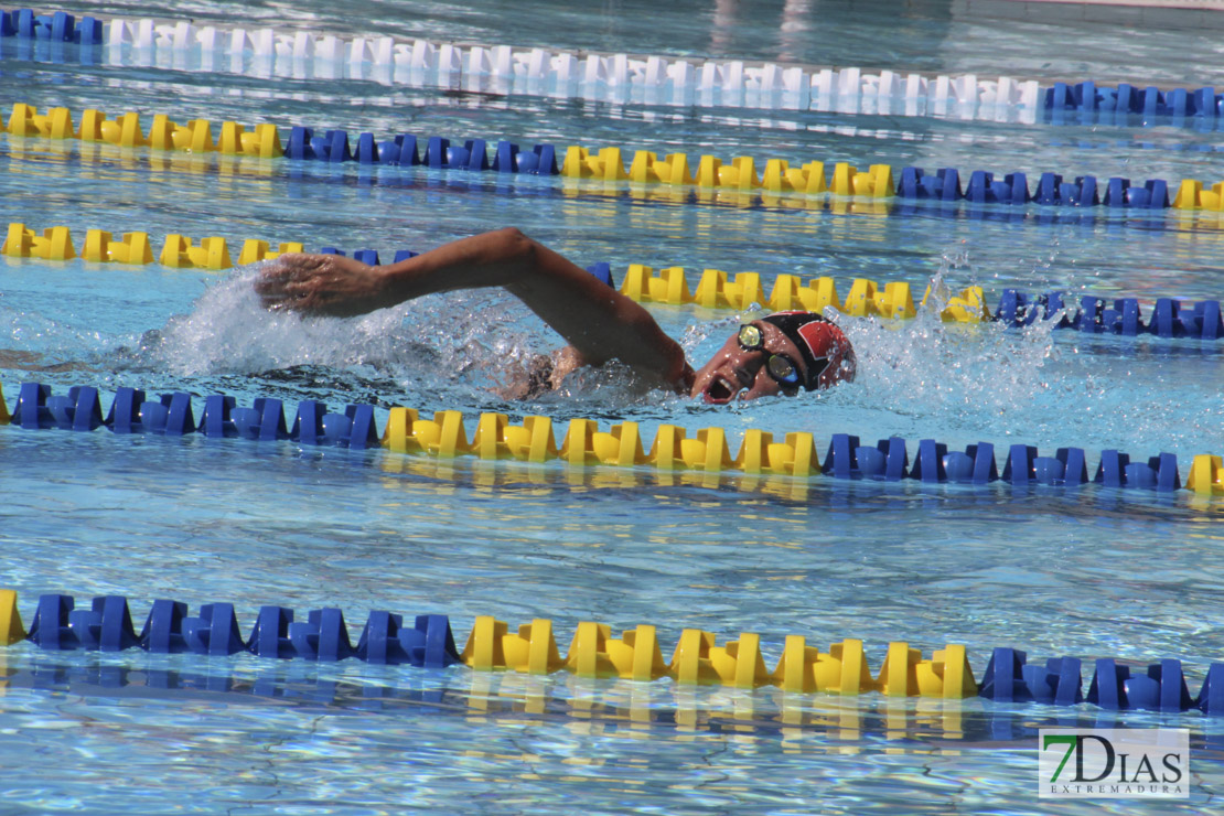 Imágenes de la última jornada del nacional master de natación