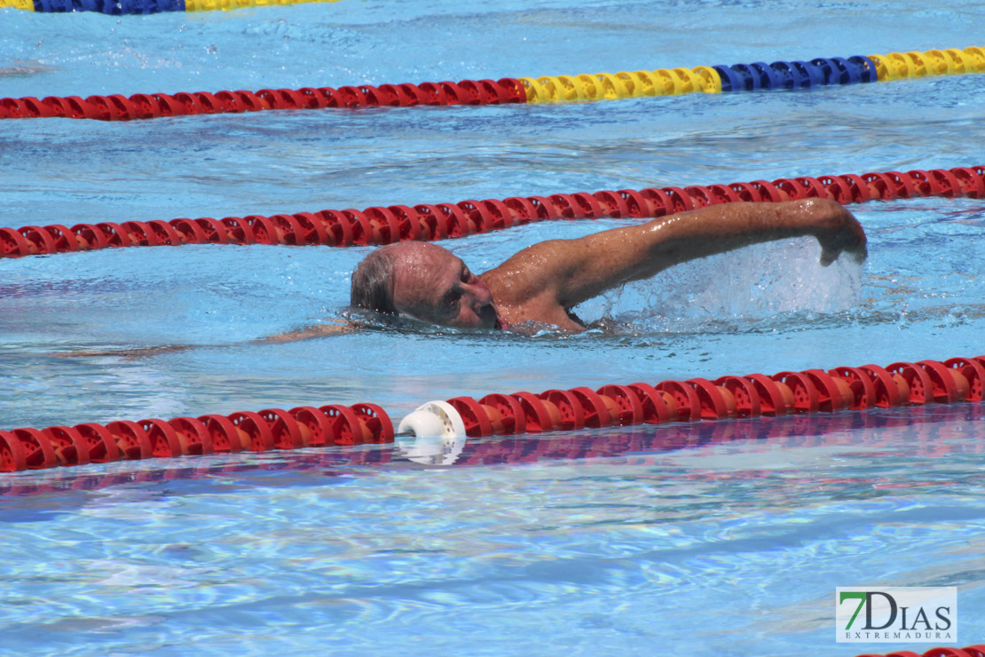 Imágenes de la última jornada del nacional master de natación