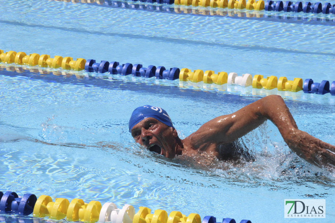 Imágenes de la última jornada del nacional master de natación