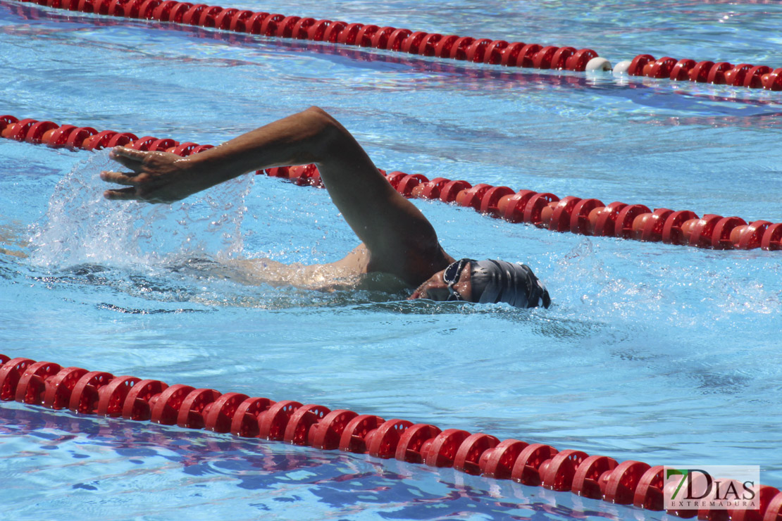 Imágenes de la última jornada del nacional master de natación