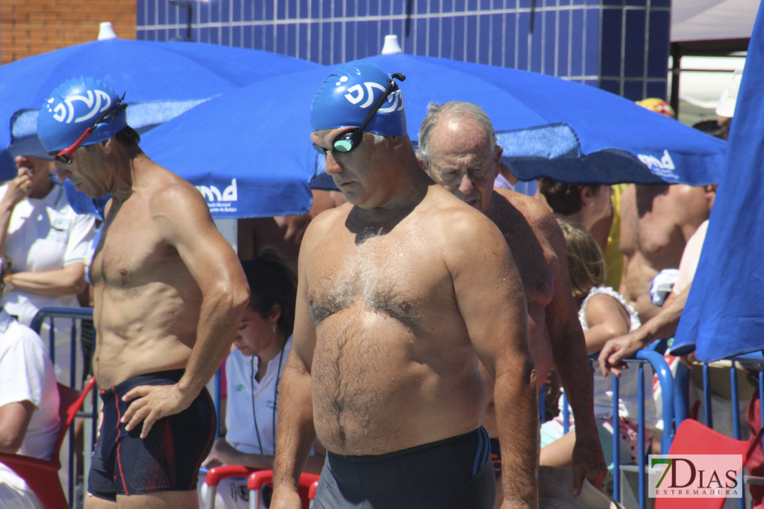 Imágenes de la última jornada del nacional master de natación