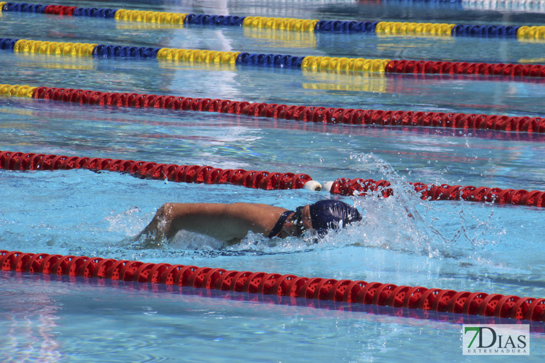 Imágenes de la última jornada del nacional master de natación