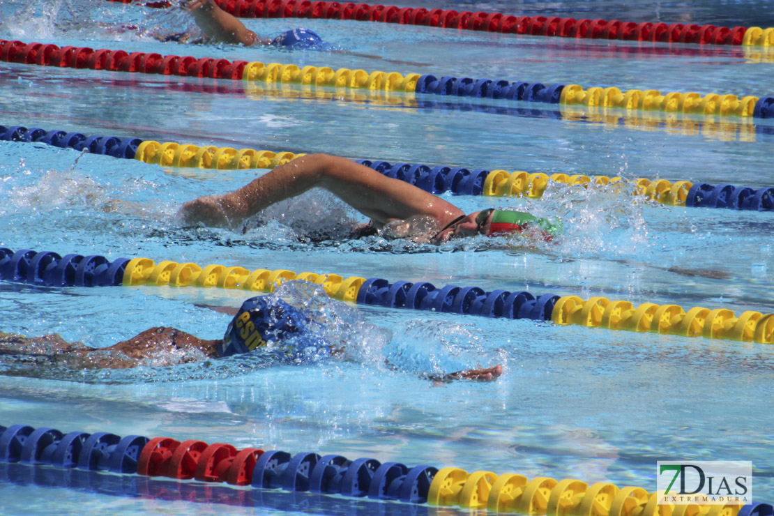 Imágenes de la última jornada del nacional master de natación