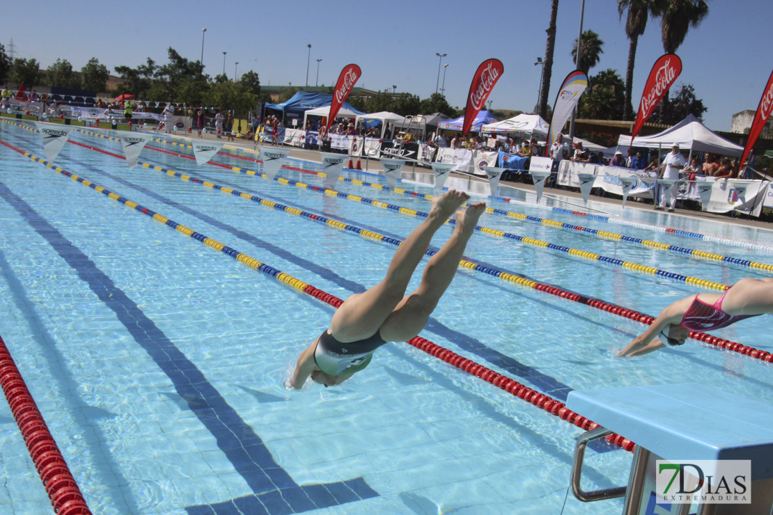 Imágenes de la última jornada del nacional master de natación I