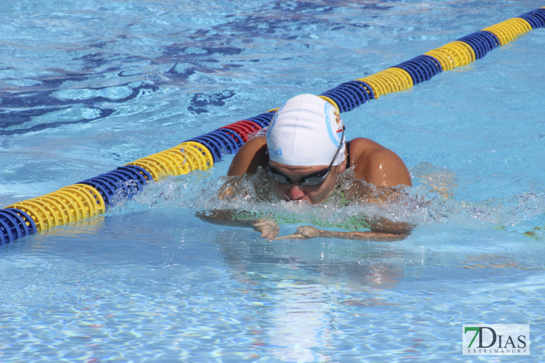 Imágenes de la última jornada del nacional master de natación I