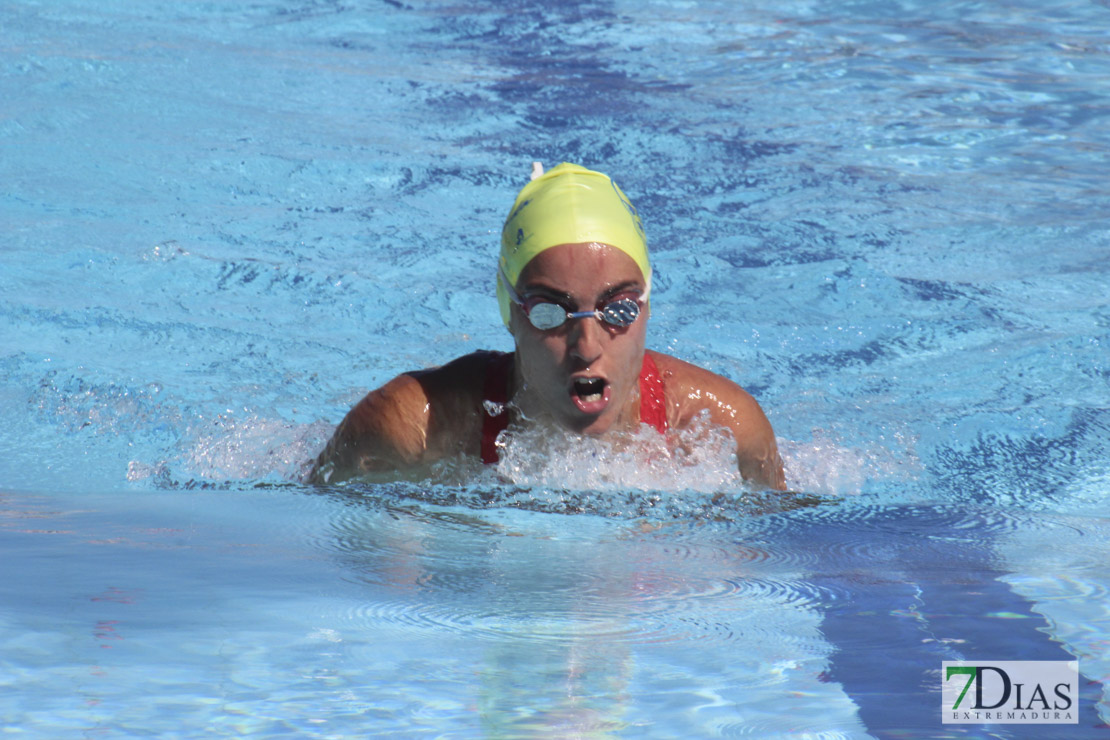 Imágenes de la última jornada del nacional master de natación I