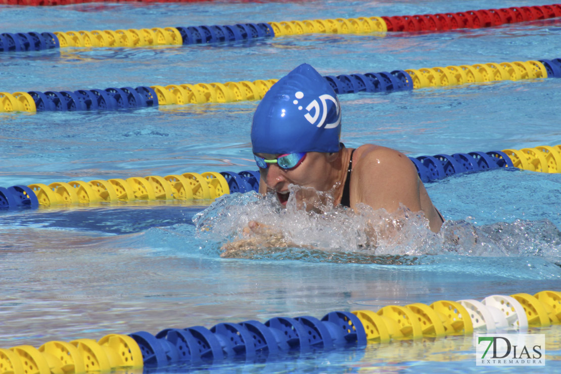 Imágenes de la última jornada del nacional master de natación I