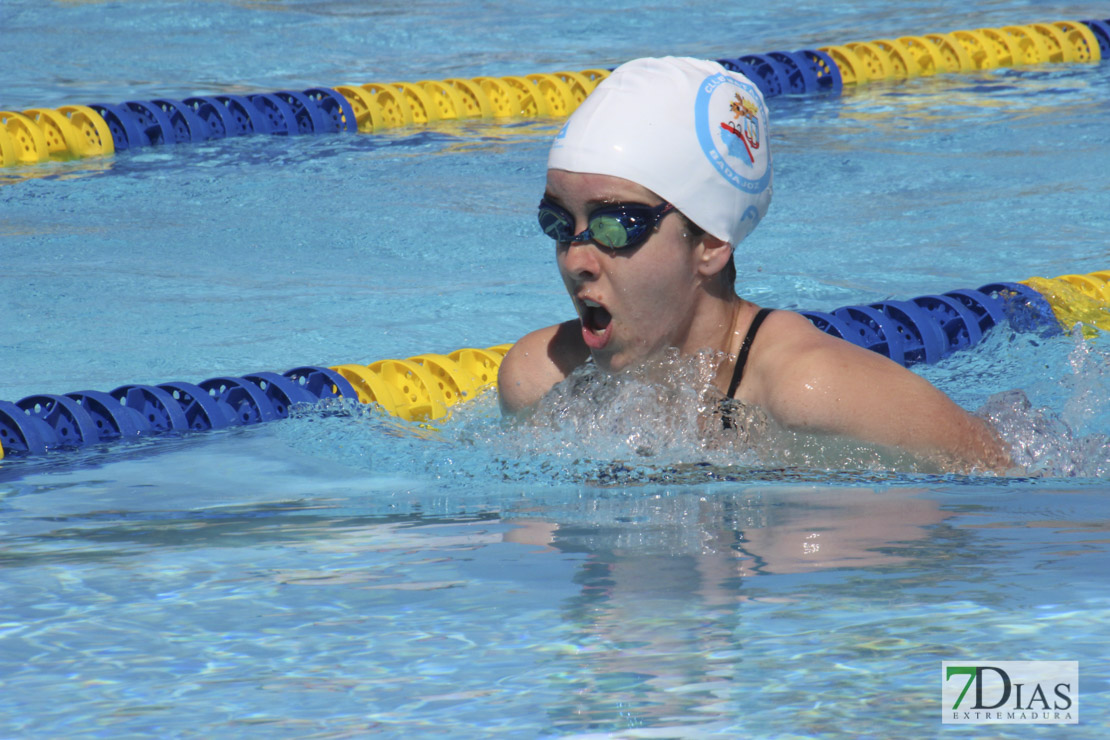 Imágenes de la última jornada del nacional master de natación I