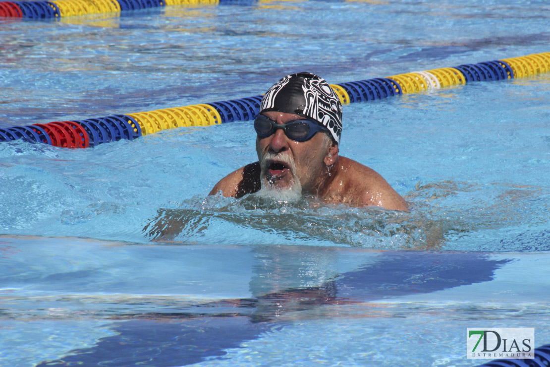 Imágenes de la última jornada del nacional master de natación I