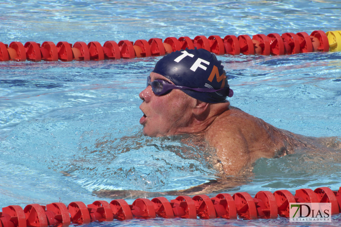 Imágenes de la última jornada del nacional master de natación I