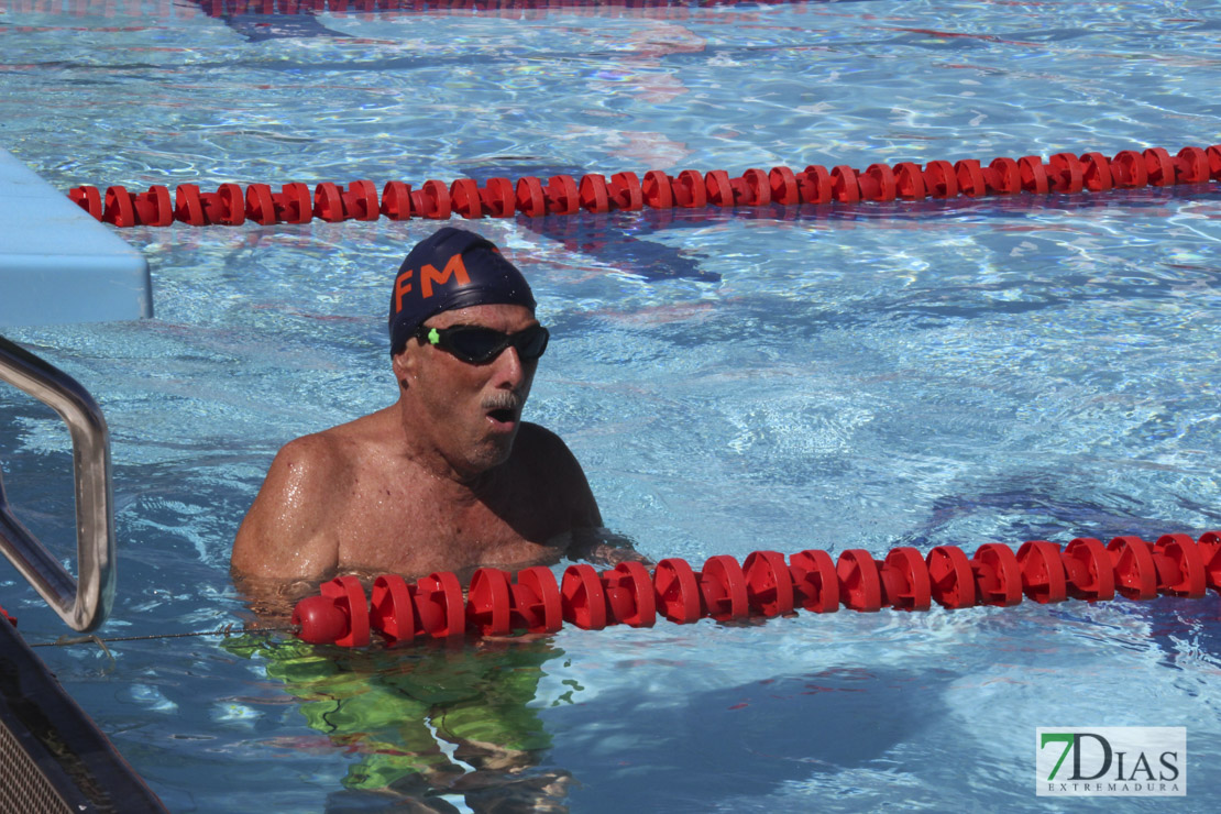 Imágenes de la última jornada del nacional master de natación I