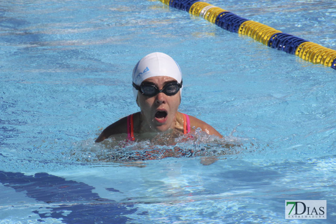 Imágenes de la última jornada del nacional master de natación I