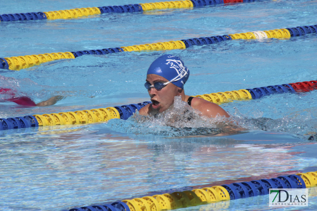 Imágenes de la última jornada del nacional master de natación I