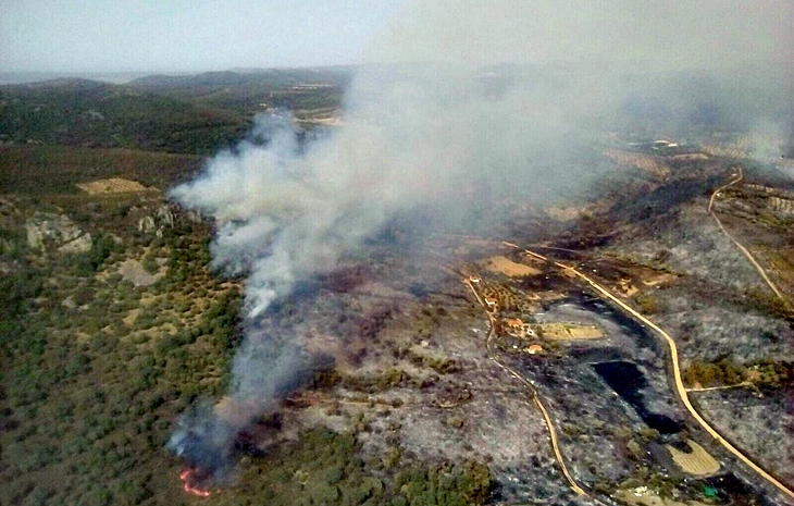 Nivel 1 de peligrosidad por incendio forestal en Casas de Don Pedro (Badajoz)