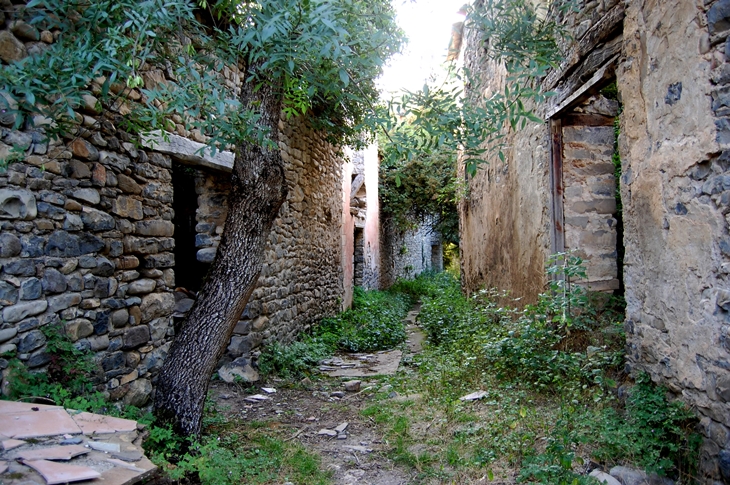 Diputaciones: “Es necesario legislar para evitar el despoblamiento rural en España”