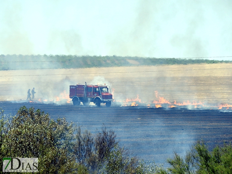 La N-432 continúa sufriendo incendios