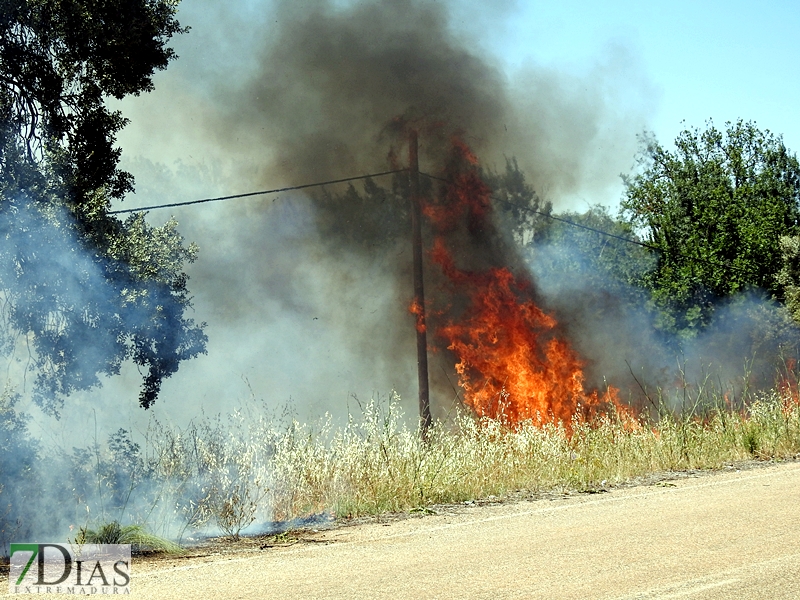 La N-432 continúa sufriendo incendios