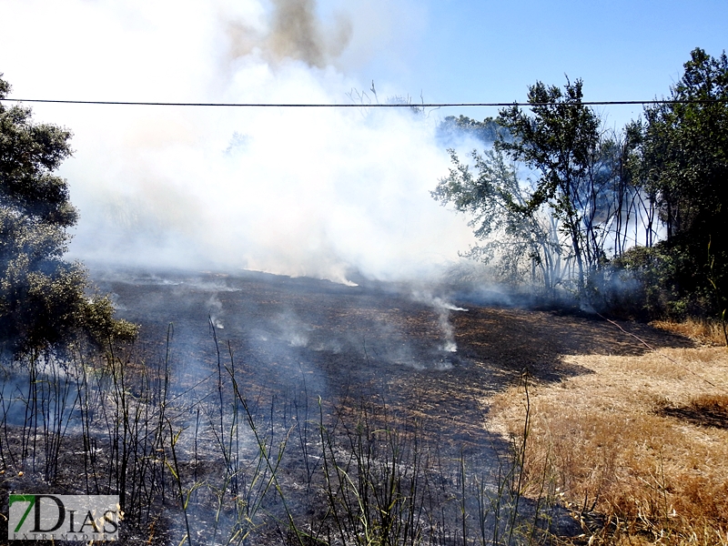 La N-432 continúa sufriendo incendios