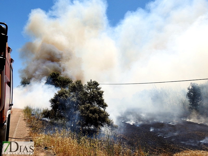 La N-432 continúa sufriendo incendios