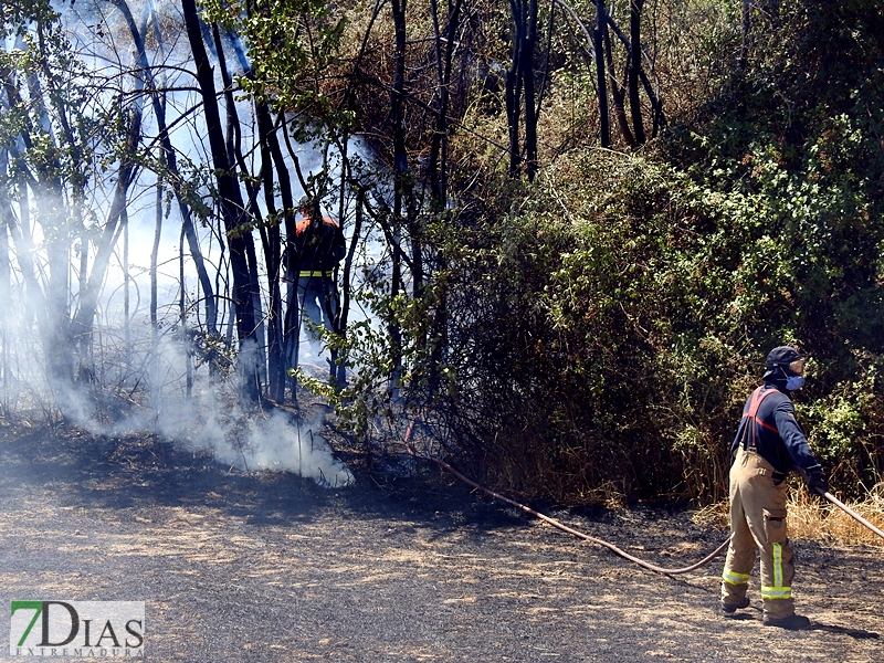 La N-432 continúa sufriendo incendios