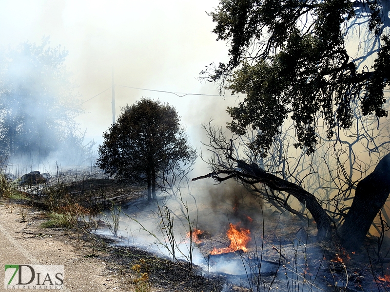 La N-432 continúa sufriendo incendios