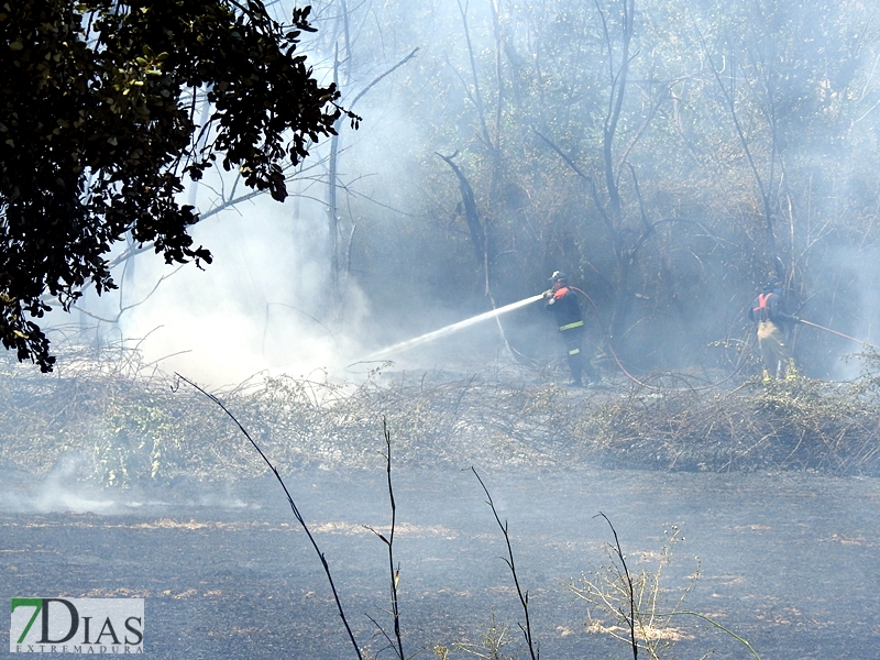 La N-432 continúa sufriendo incendios