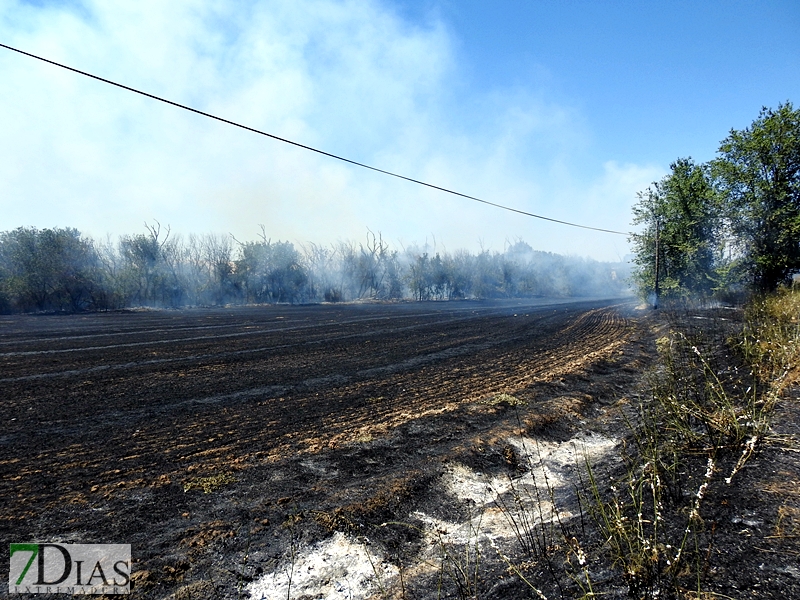 La N-432 continúa sufriendo incendios