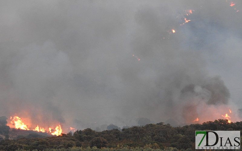 Fuera de control el incendio de Arroyo de San Serván