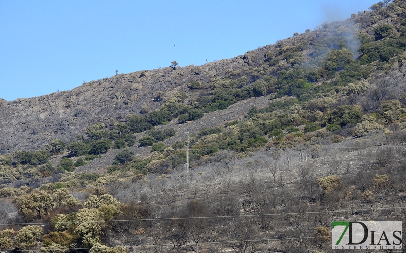 Imágenes del día después en la sierra de San Serván