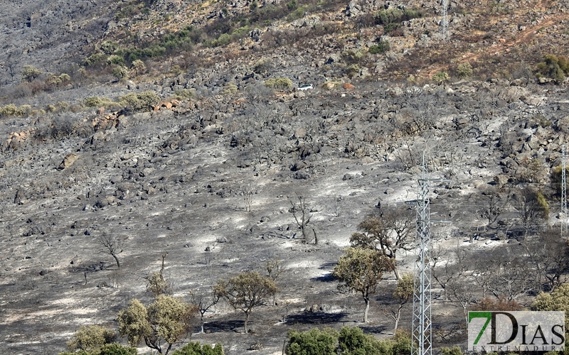 Imágenes del día después en la sierra de San Serván