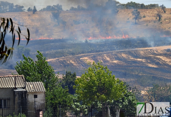 Los incendios no cesan en Badajoz