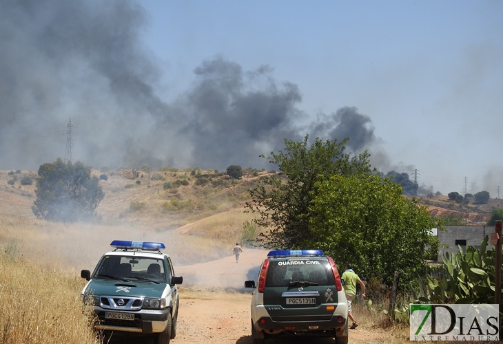Los incendios no cesan en Badajoz