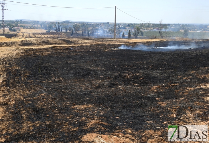 Los incendios no cesan en Badajoz