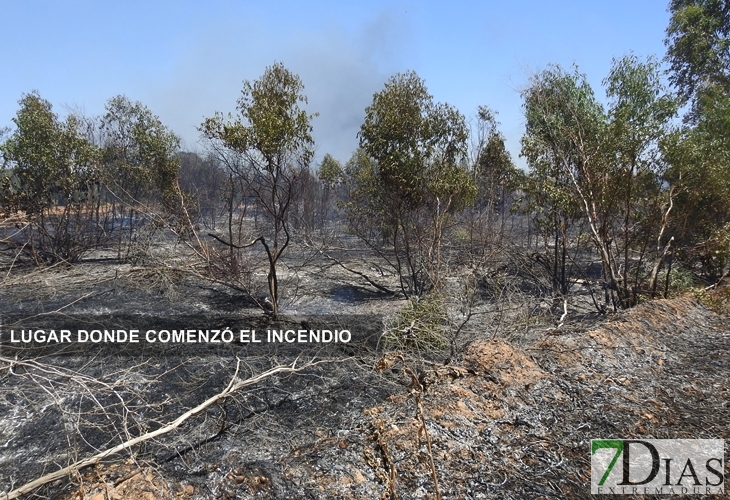 Los incendios no cesan en Badajoz