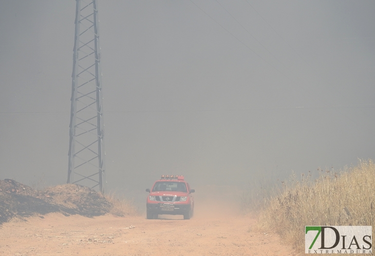 Los incendios no cesan en Badajoz