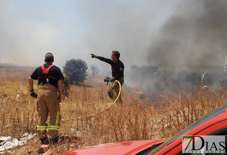 Los incendios no cesan en Badajoz