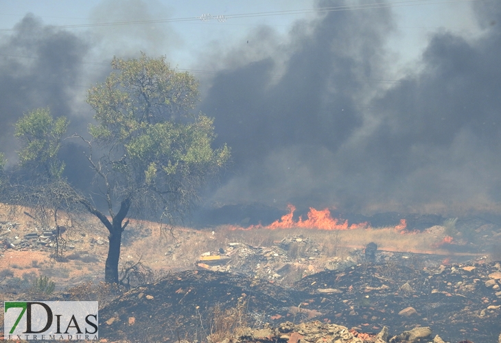 Los incendios no cesan en Badajoz