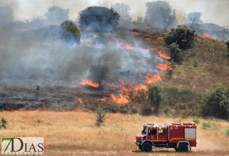 Los incendios no cesan en Badajoz