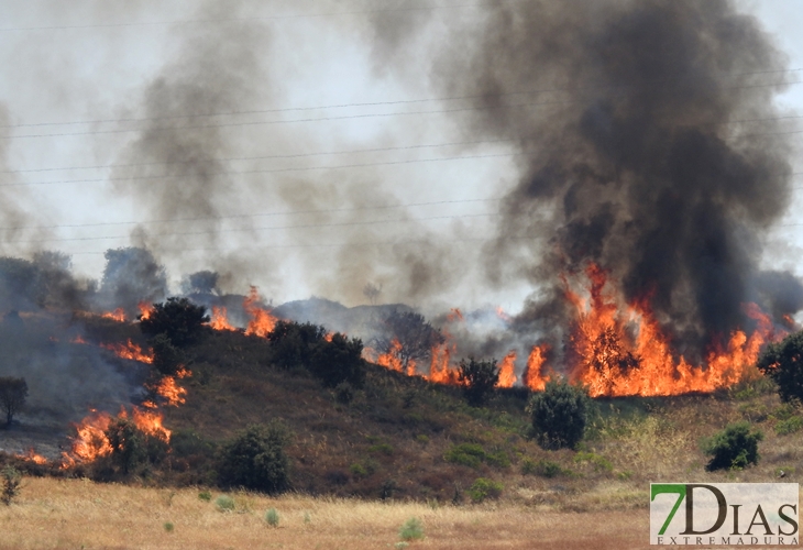 Los incendios no cesan en Badajoz