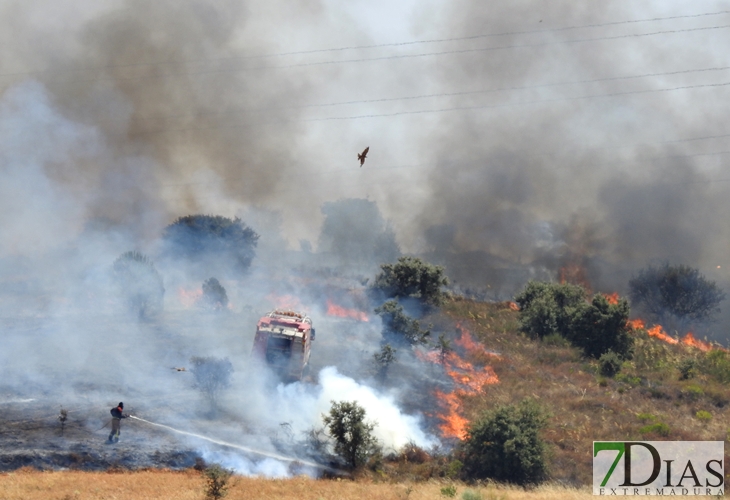 Los incendios no cesan en Badajoz