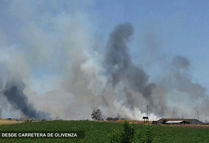 Los incendios no cesan en Badajoz