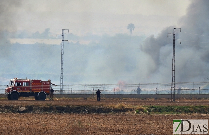 Arde parte de una finca entre Gévora y Sagrajas