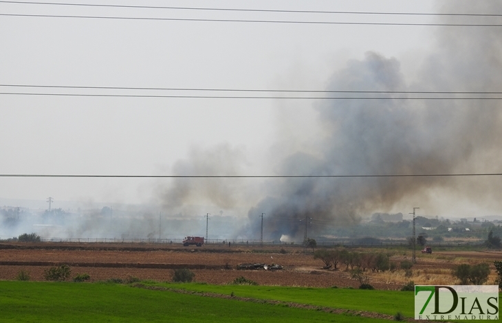 Arde parte de una finca entre Gévora y Sagrajas