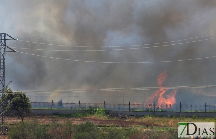 Arde parte de una finca entre Gévora y Sagrajas