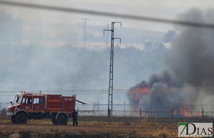 Arde parte de una finca entre Gévora y Sagrajas